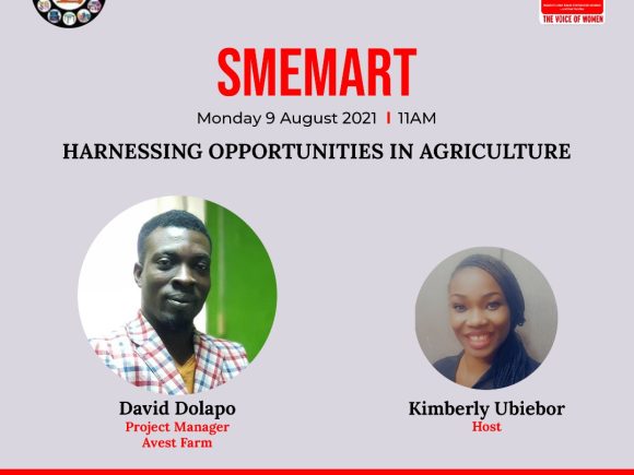 SMEMART: Harnessing the Opportunities in Agriculture