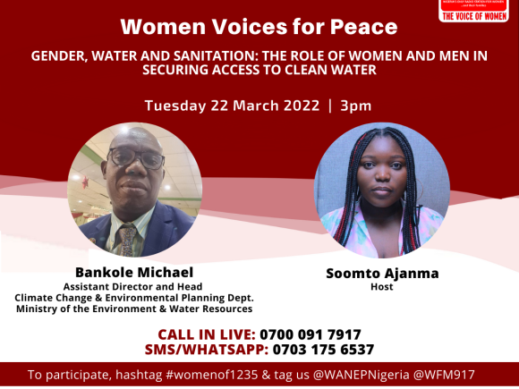 Gender, Water and Sanitation: The Role of Women and Men in Securing Access to Clean Water