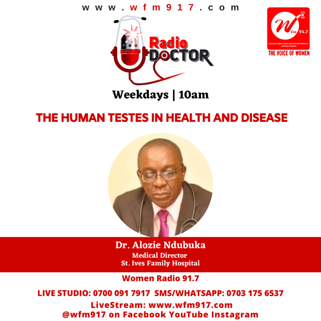 The Human Testes in Health and Disease