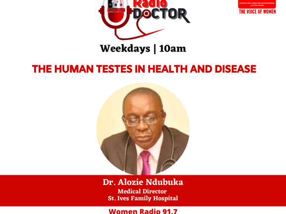 The Human Testes in Health and Disease