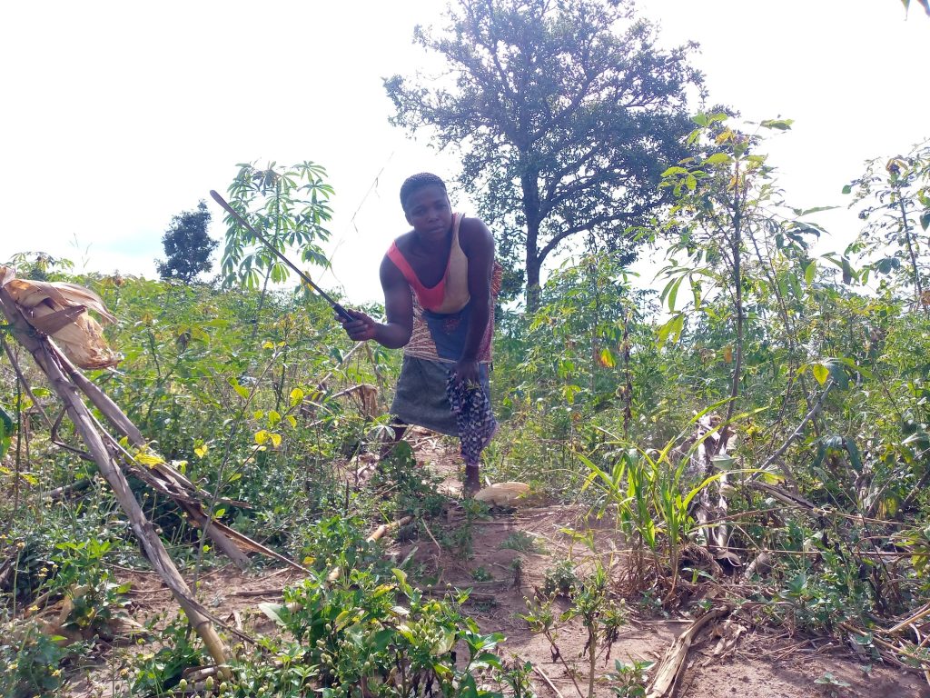 Oyo rural women cry-out from unjust exclusion on multi-billion-naira agricultural loan