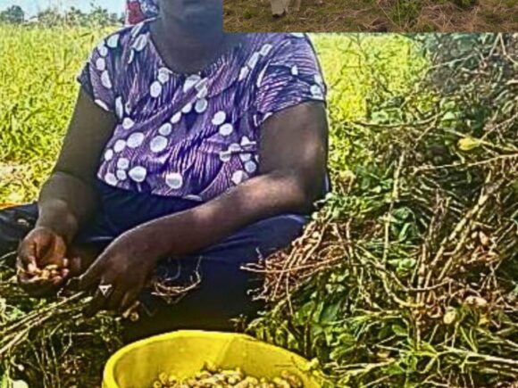 Food Security Is a Peace and Security Issue, and Women Farmers Are at the Centre