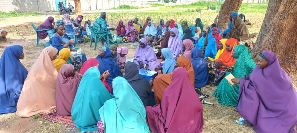 When Women Save Together, Economies Grow: Scaling the VSLA Model in Nigeria
